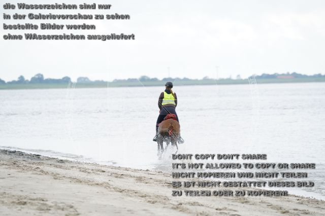 s_K3F04815.JPG